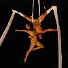 2009. Cento di questi giorni al Festival Sul Filo del Circo (Foto Arias)